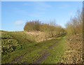 Silverdale Country Park: track junction at bottom of Miners