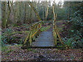 Footbridge in the woods