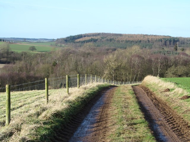 Bridleway approaching Hollin Hill Bogs
