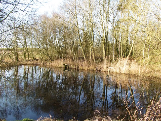 Pond at Hollin Hill Bogs