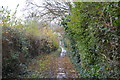 Footpath to the church