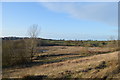 SJ8047 : Silverdale Country Park: view of the Conservation Area by Jonathan Hutchins