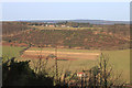 View from the Raptor Viewing Point