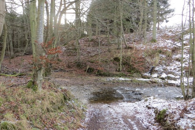 Ford, Costerton Water
