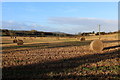 SE2944 : Hay Field off Eccup Lane by Chris Heaton