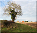 Track to Quebec Farm