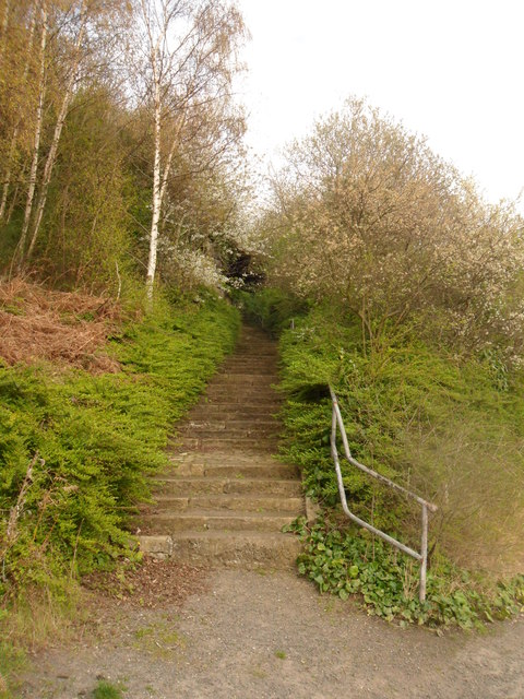 Stairs linking Hadrian's Wall Path and Hadrian's Cycleway