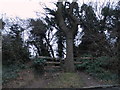 Entrance to the woods on Plough Lane, Purley