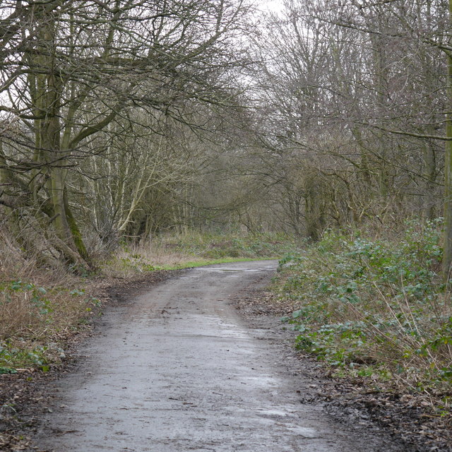 Lane to Hunters Greave