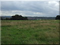 Farmland south of Doncaster Road