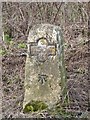 Milestone and benchmark near Thornford