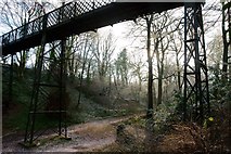 SJ4065 : Footbridge across The Dingle by Matt Harrop