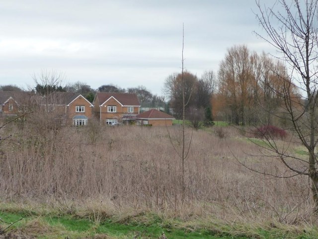 Scrubland at the western end of Hatfeild View