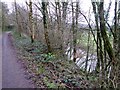 Tarka Trail and River Torridge