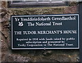 Tudor Merchant