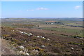 Golygfa tuag at Llanferres / A view towards Llanferres