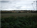 Farmland towards Wombwell