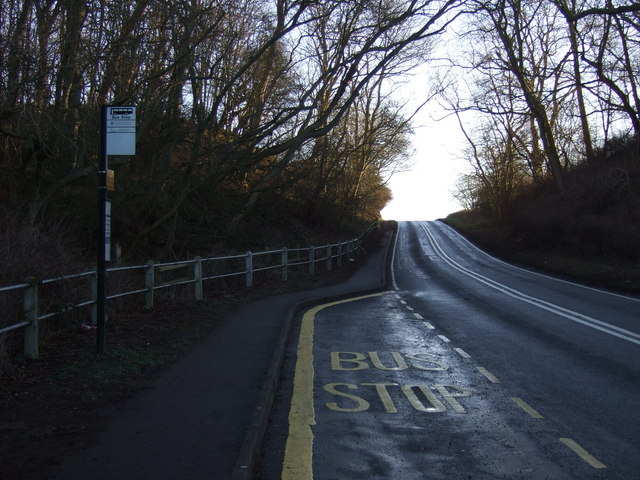 Bus stop on Flamborough Road 