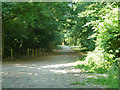 Public bridleway, Black Park