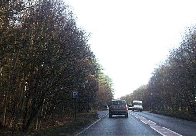 A57 through Top Wood