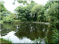 Winding hole, Slough Arm, Grand Union Canal