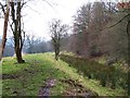 Trackbed of the former Nidd Valley Railway