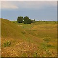 SO5977 : Quarry spoil heaps, Clee Hill by Richard Webb