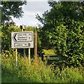 Signs, Angel Bank