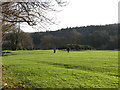 Christmas Day Golfers at Shipley Golf Club