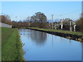 The New River by Rye House Marsh