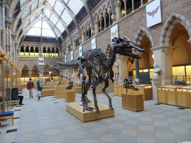 Dinosaur Gallery