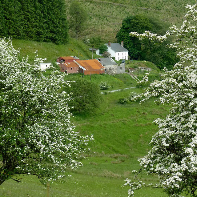 Nantyrhwch in Cwm Tywi, Powys