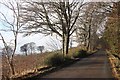 Ploughed field at Easter Ardross