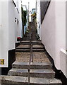 Long flight of steps up from Higher Street, Dartmouth