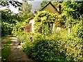 Cottage In The Wood