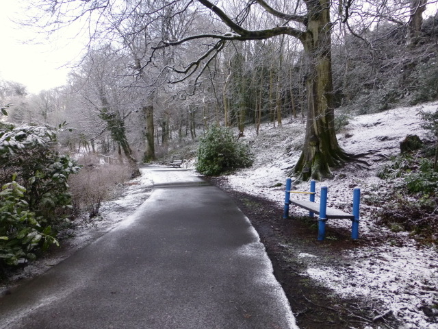 Wintry along the Highway to Health path