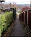 Between hedge and fence, Griffithstown, Pontypool