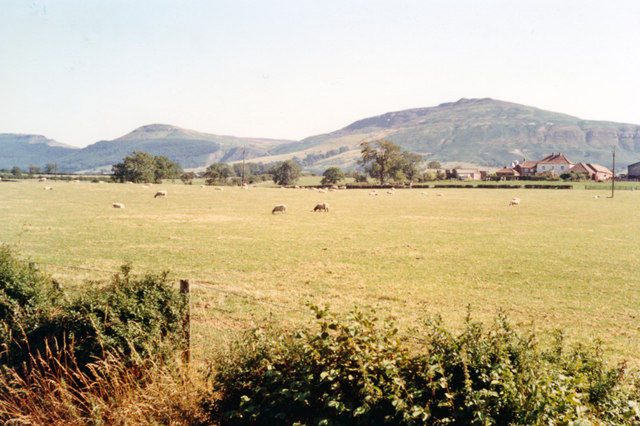 Cleveland Hills from Great Busby, near Stokesley
