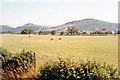 NZ5205 : Cleveland Hills from Great Busby, near Stokesley by Ben Brooksbank