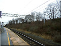 Sandbach station: overgrown sidings