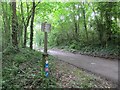 National Cycle Network route 45 sign