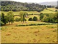 Common Wood from Hanter Hill