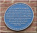 No.14, St John?s Street, blue plaque