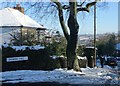 Street corner in suburban Sheffield