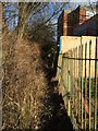 Footpath boundary behind Royal Stoke University Hospital