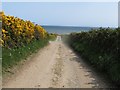 Access lane between the A2 and the Annalong Coastal Path