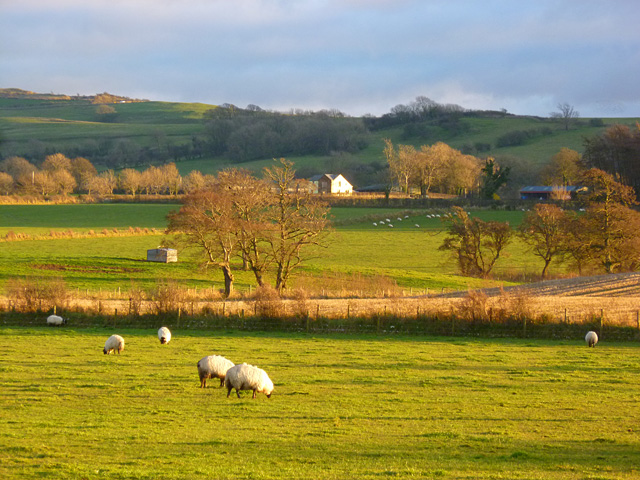 Farmland, Boltons