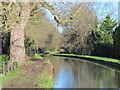 The New River south of High Street, Stanstead St. Margaret