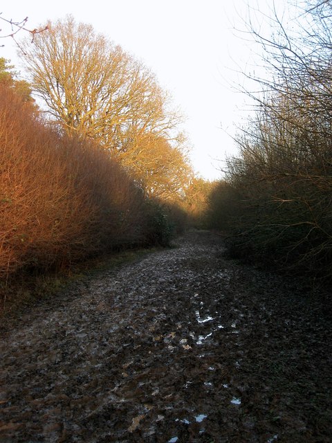 Footpath to Haywards Heath