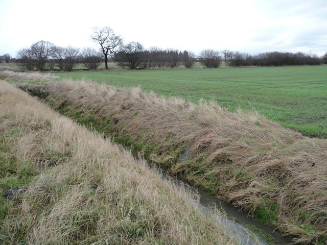 Drain on the south side of Hillam Common Lane [2]